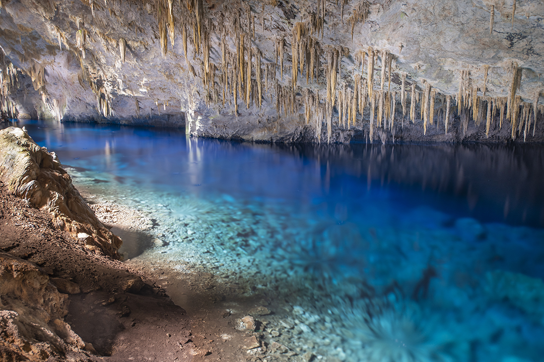 Bonito - Photo by Hudson Garcia (21)